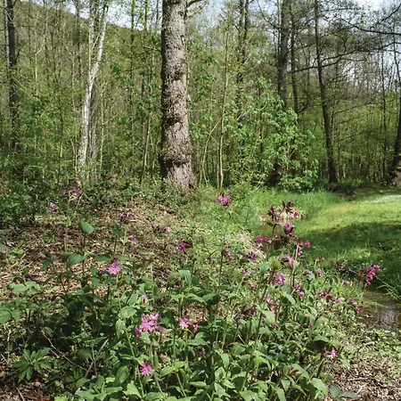 בית נופש Maison D'olenne