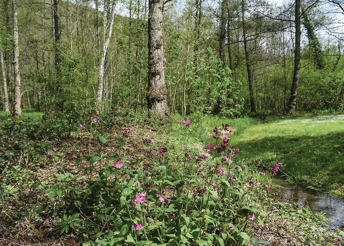 بيت للعطل Maison D'olenne